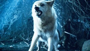 Game Of Thrones: Ghost the Direwolf Is the Best Choice for the Iron Throne