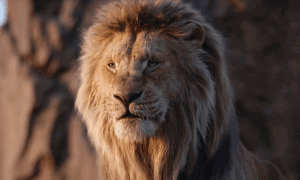 The Lion King Remake’s Toughest Critic Reviews