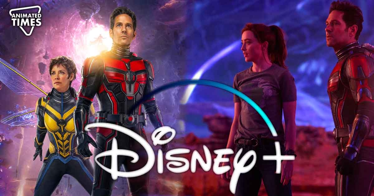 “Marvel fans will stream anything with a Marvel logo”: MCU Fans Mega Trolled as Ant-Man 3 Becomes Most Streamed Movie of Last Weekend