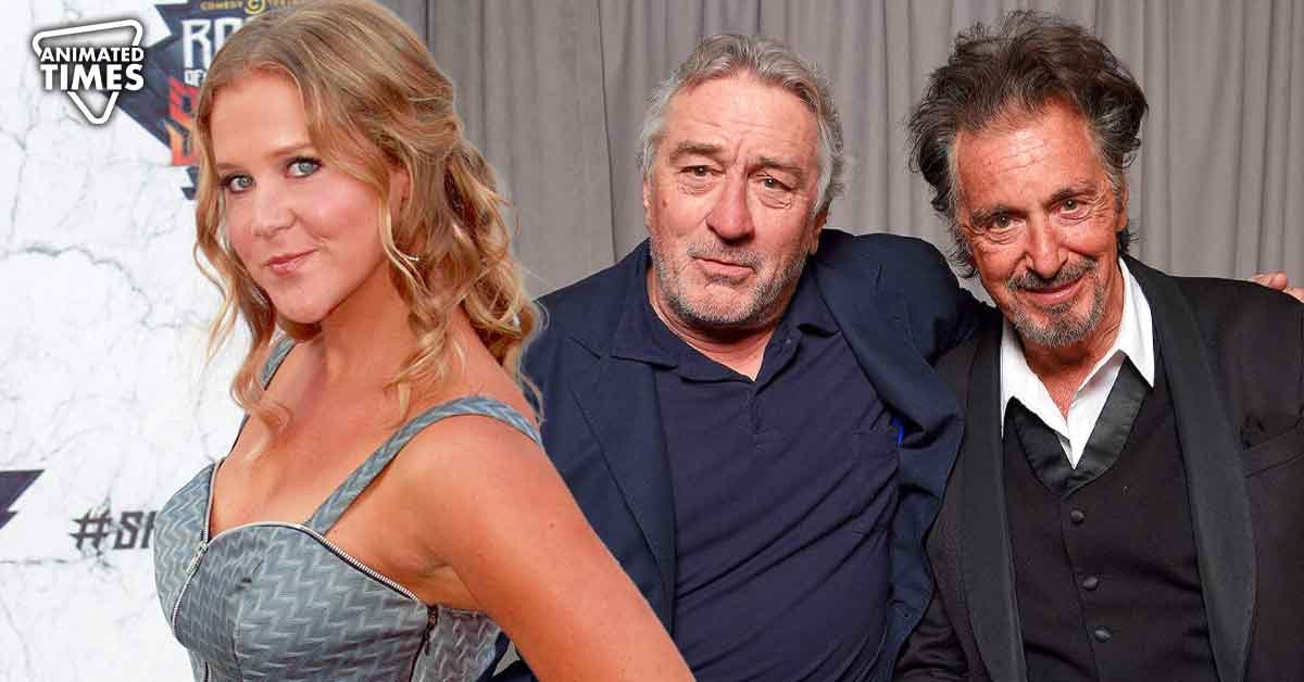 Amy Schumer Has a Problem With Robert De Niro and Al Pacino Having Kids Late in Life: “It is weird”