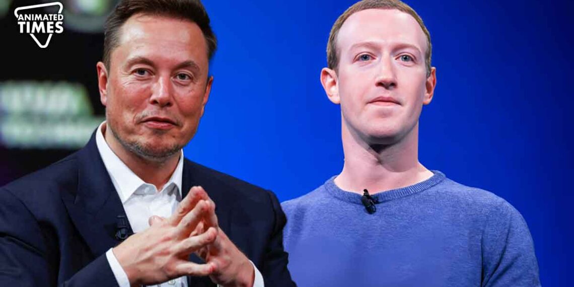 Battle Of The Billionaires: Elon Musk Vs Mark Zuckerberg MMA Fight Is ...