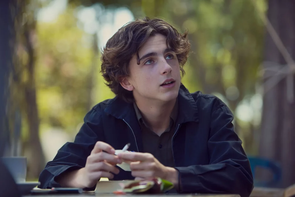 timothee chalamet