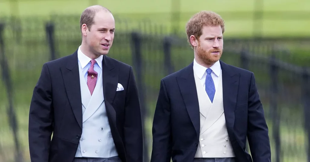 Prince Williams and Prince Harry fight
