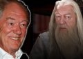 Michael Gambon Net Worth - How Much Did the Dumbledore Actor Make from Harry Potter?