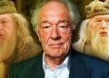 Harry Potter Star Michael Gambon, Best Known for Playing Dumbledore, Passes Away at 82