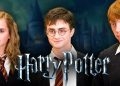 harry potter nearly cast hollywood’s most divisive director before he bowed out himself from the franchise