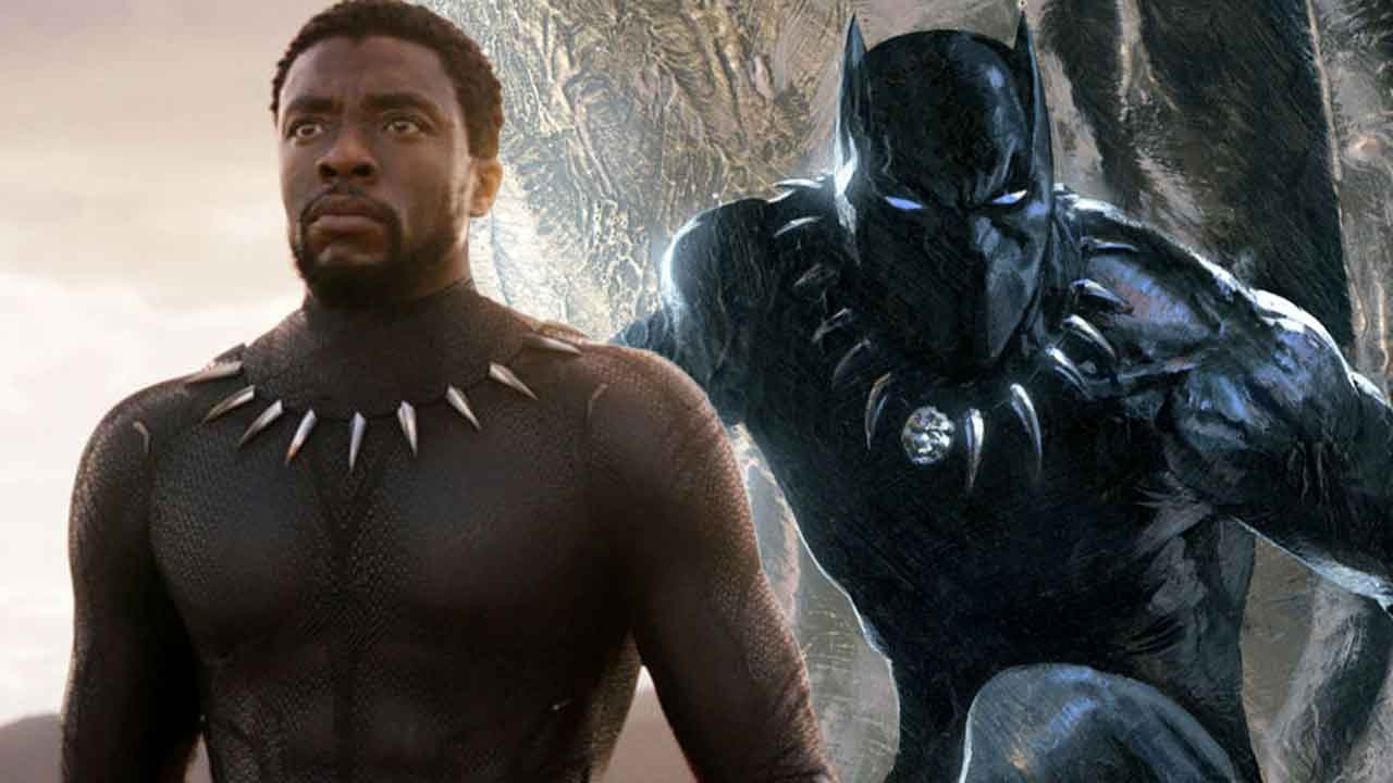 Fans Wish MCU Had Recast T’Challa Following Chadwick Boseman’s Death After Learning MCU’s Original Plan For Black Panther