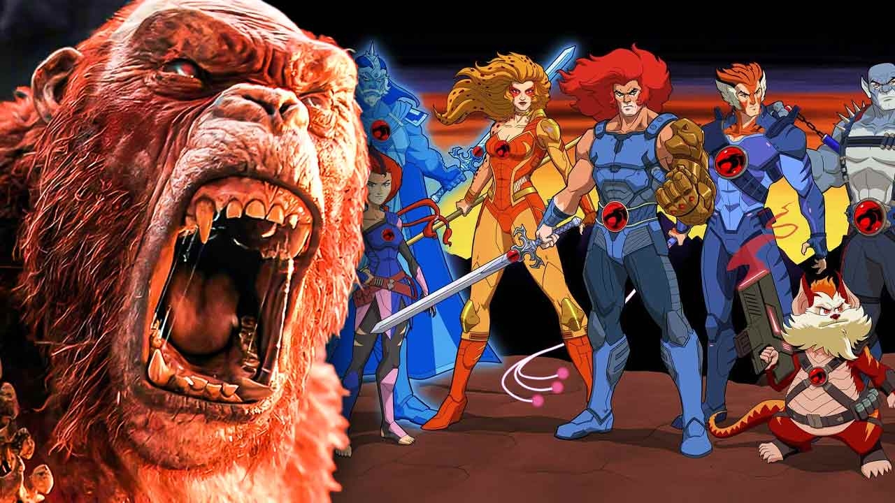 Thundercats Live-Action Movie Might be Godzilla x Kong Director’s Next Project After His Bold Claim: “Nobody on this planet knows as I have”