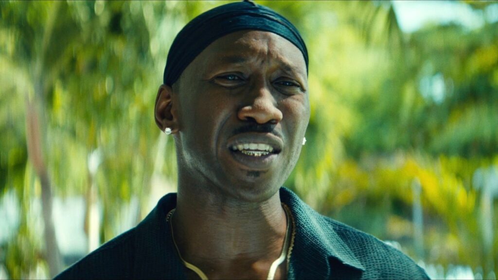 Mahershala Ali in Moonlight