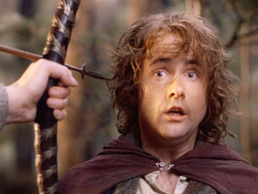 Billy Boyd as Pippin in The Lord of the Rings