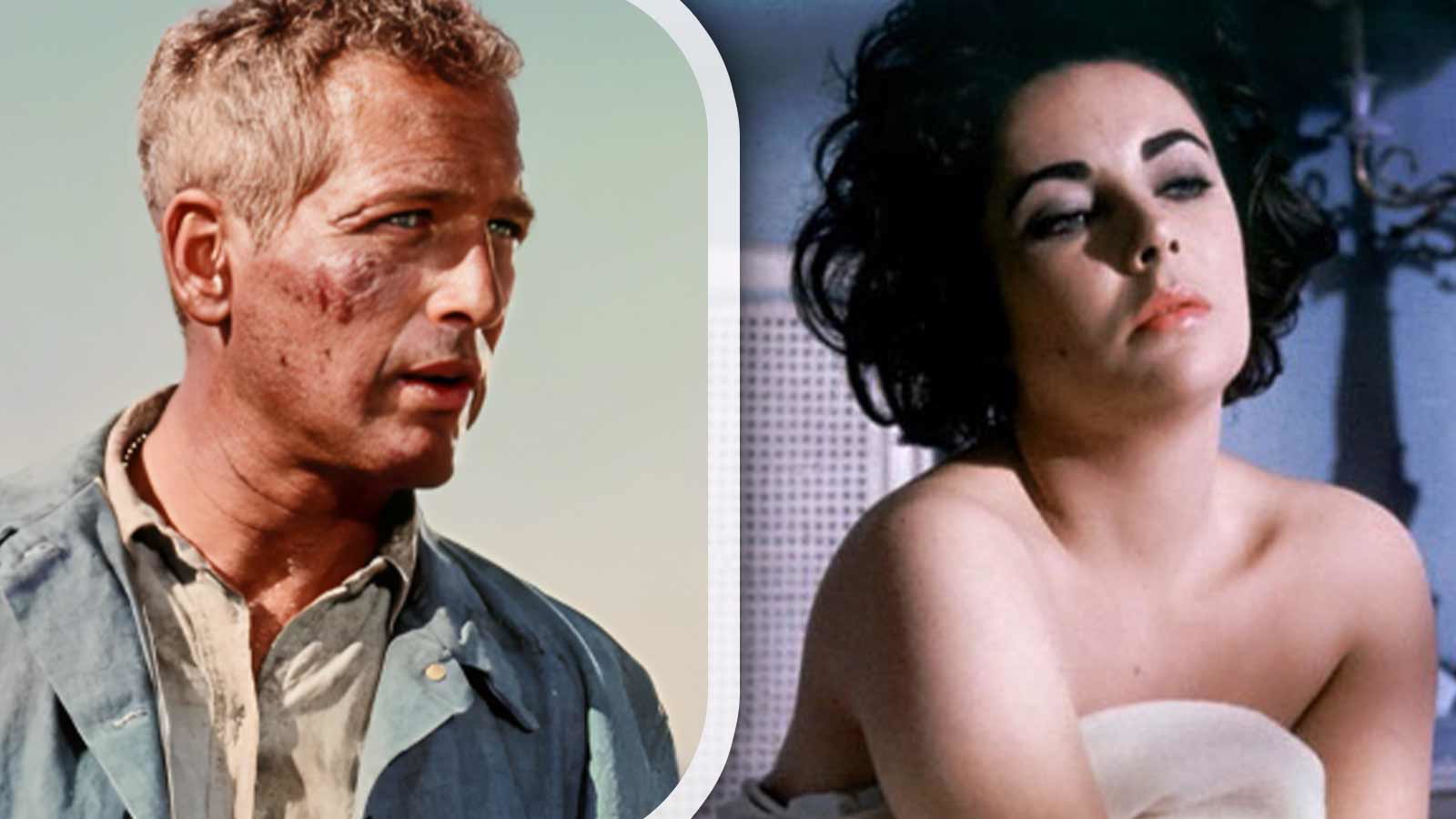 “Didn’t bring out the best in one another”: Paul Newman and Elizabeth Taylor’s Rocky Relationship While Filming Their $17.6 Million Movie Almost Ruined the Cult-classic