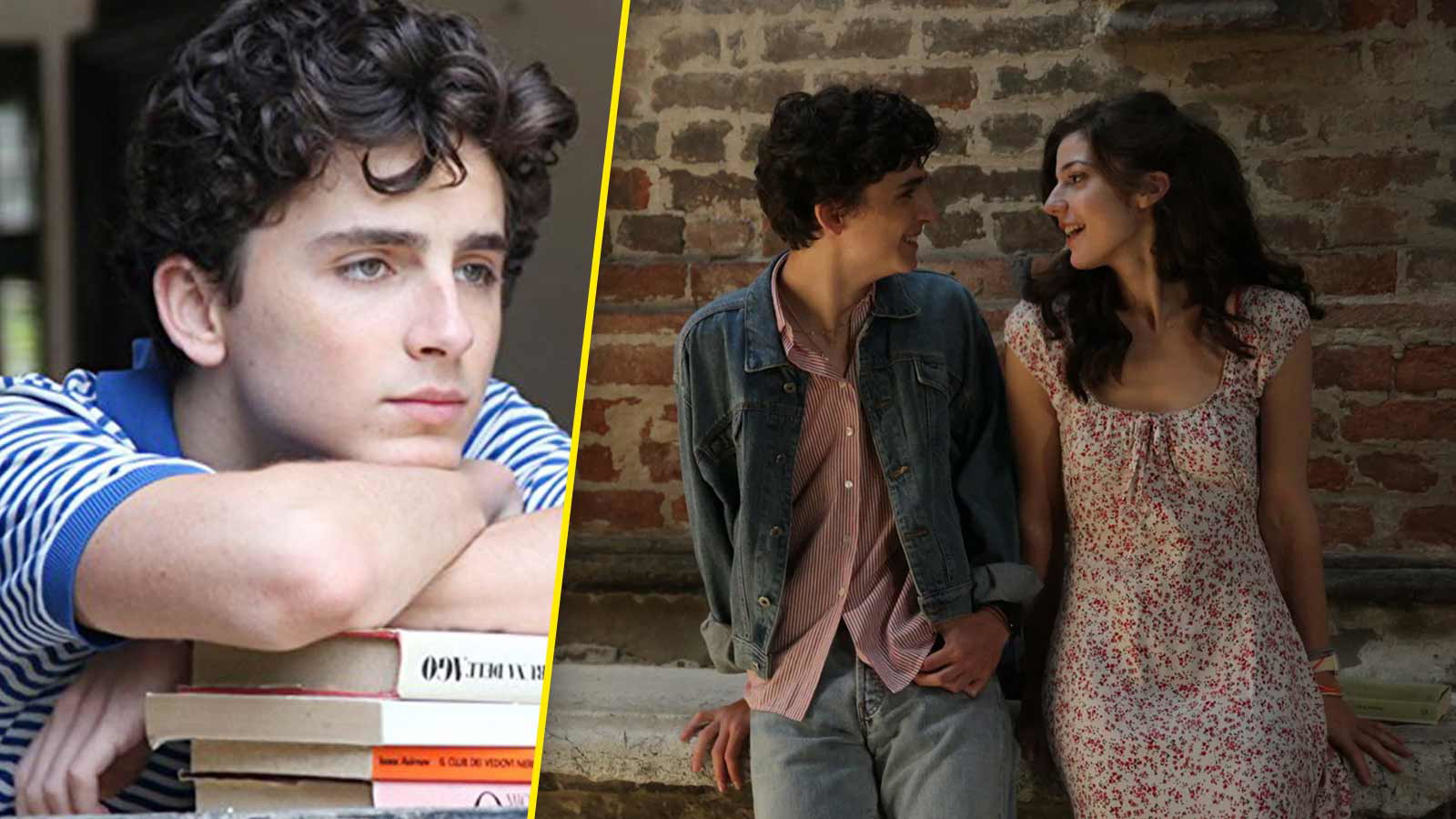 Timothée Chalamet’s ‘Call Me By Your Name’ Director Still Won’t Agree With “stupid” Critics Who Blasted The Oscar-winning Film For One Bizarre Reason