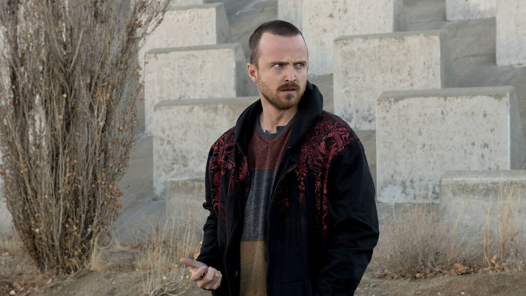 Aaron Paul 