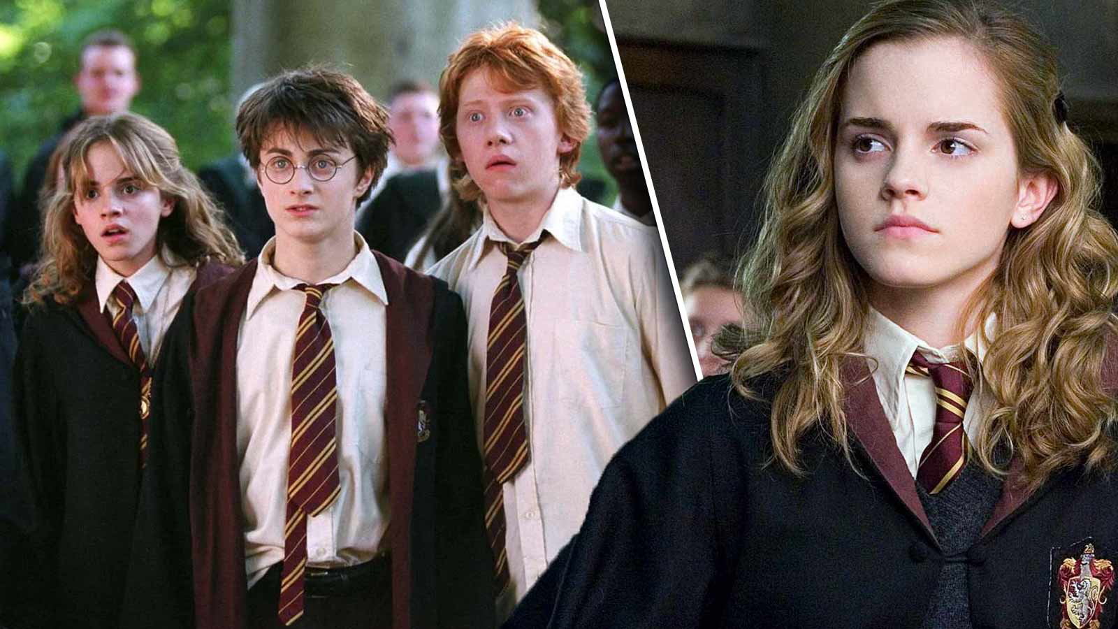 Hermione Granger and Ron Weasley Will Return in Harry Potter Series But Don’t Expect Emma Watson to Make an Appearance