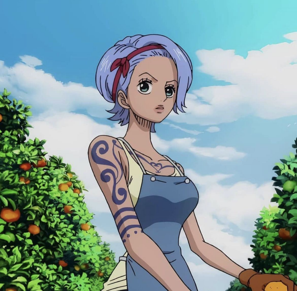 Nojiko in One Piece anime | Credits: Crunchyroll