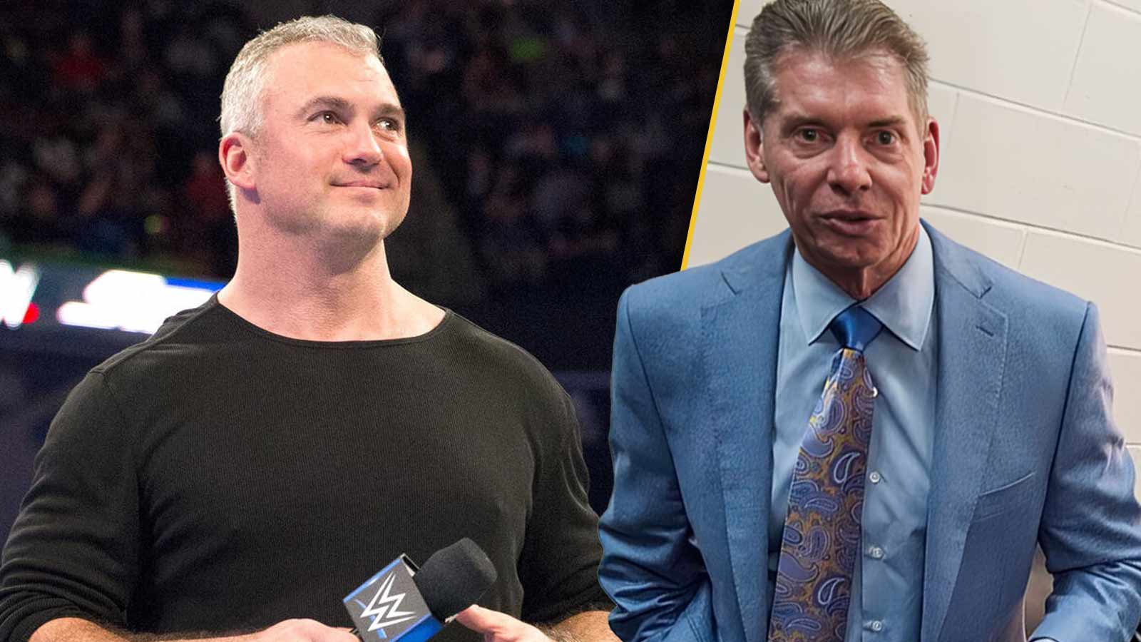 Shane McMahon, Vince McMahon