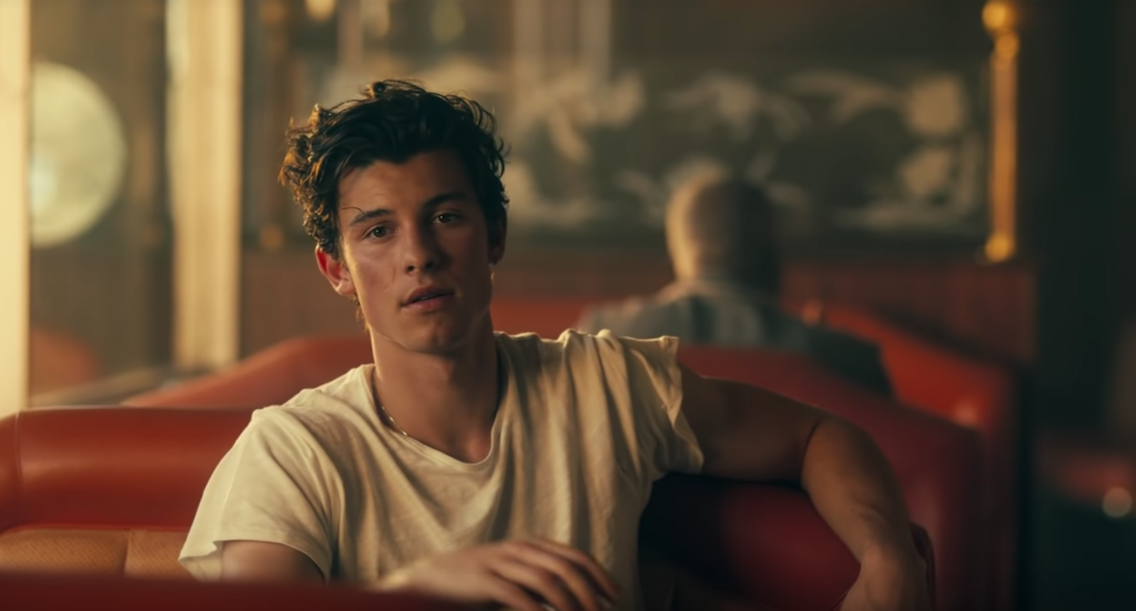 Shawn Mendes in Señorita