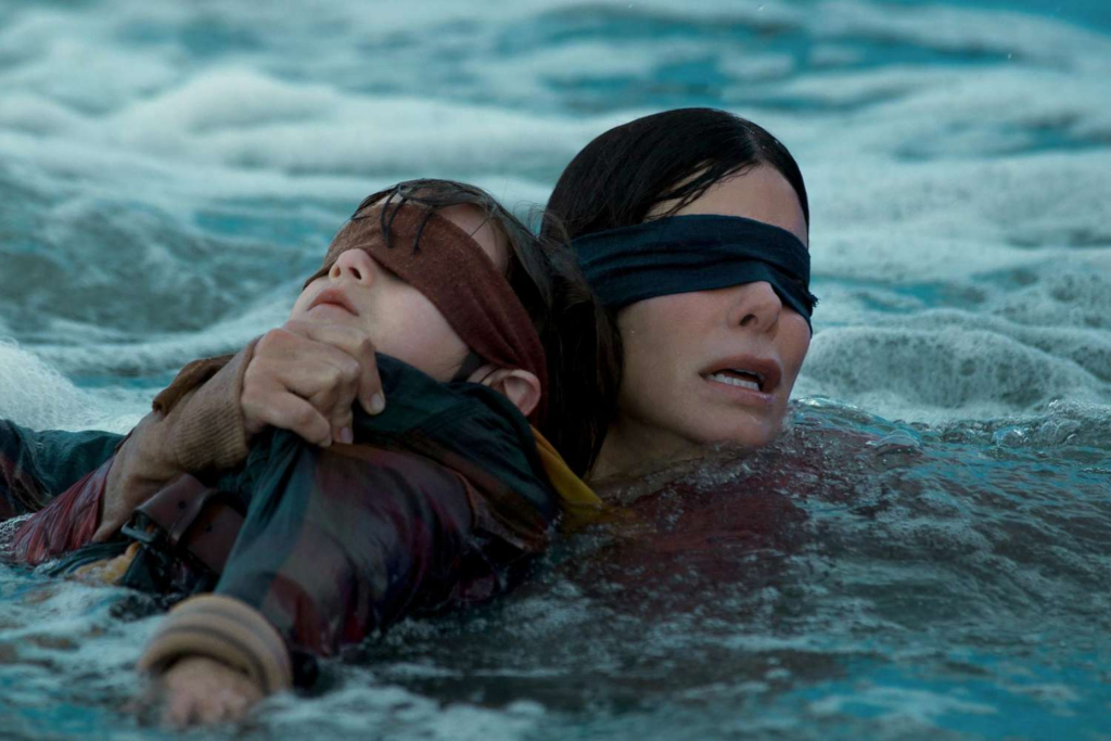 A still from Bird Box | Credits: Netflix