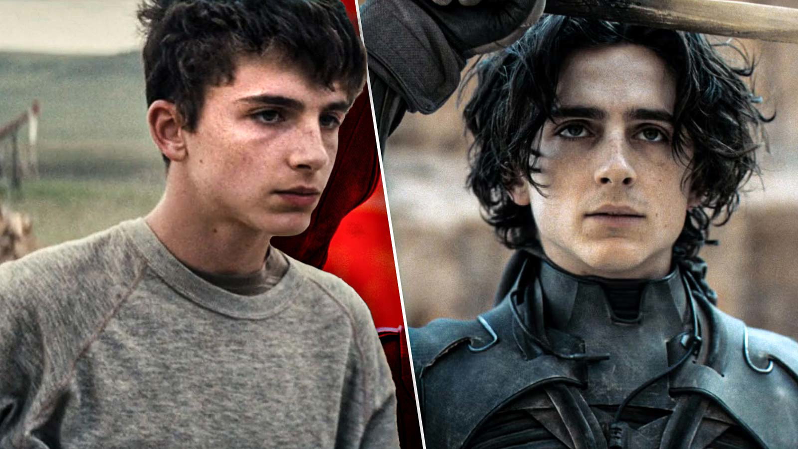 Who is Anthony Po? YouTuber Behind Timothée Chalamet Look-alike Contest