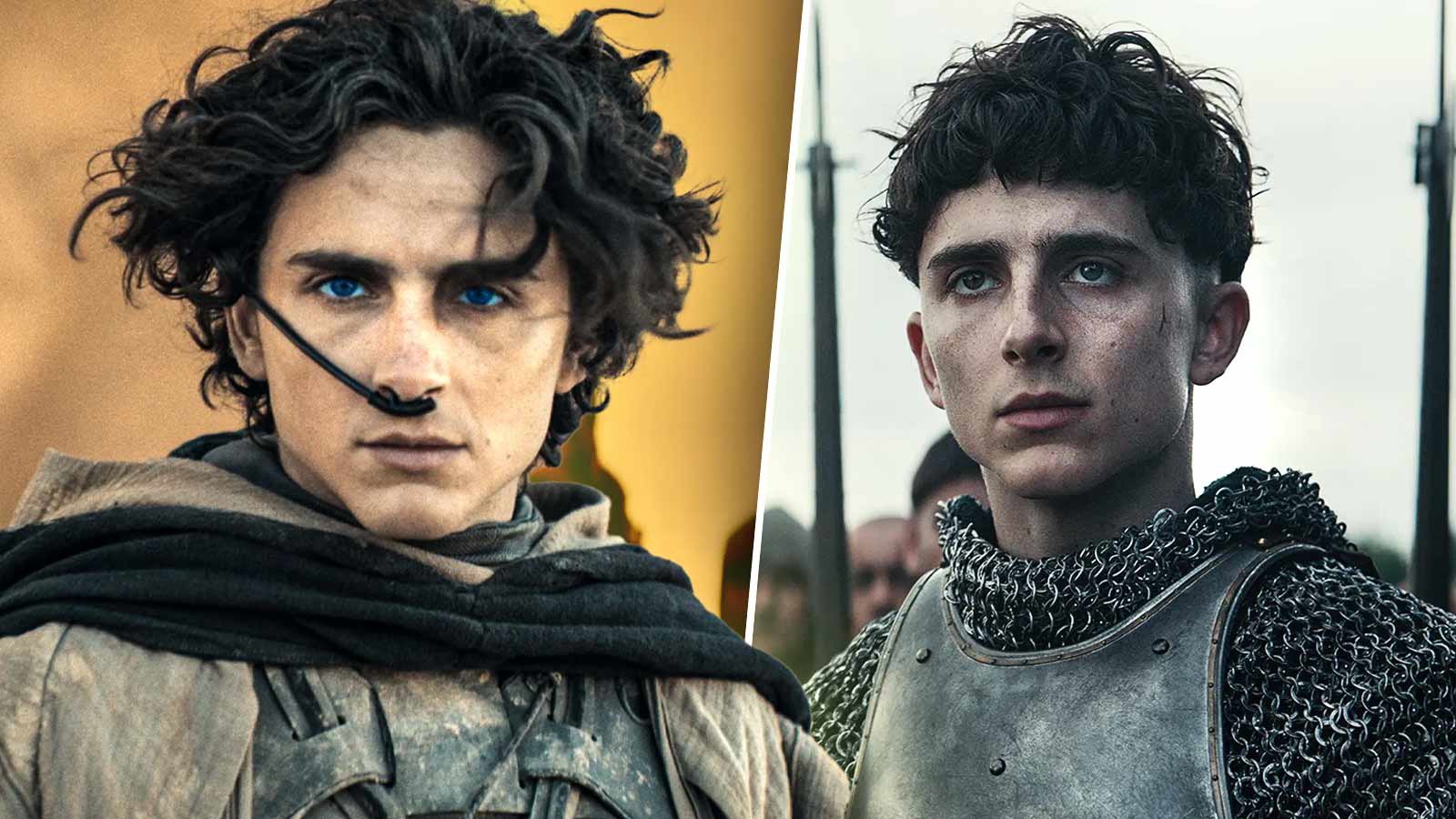 You Could Soon See Timothée Chalamet’s Arrested Look-alike On an HBO Show