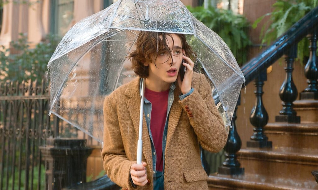 Timothée Chalamet 