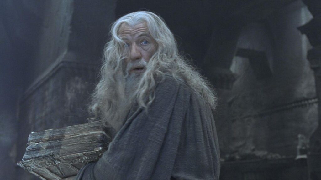 Ian McKellen in The Lord of the Rings: The Fellowship of the Ring