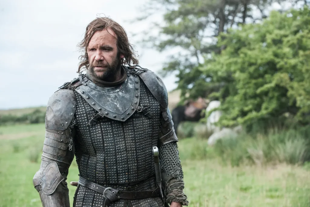 Rory McCann in Game of Thrones | Source: HBO