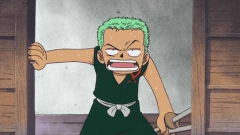 zoro is tired as a kid
