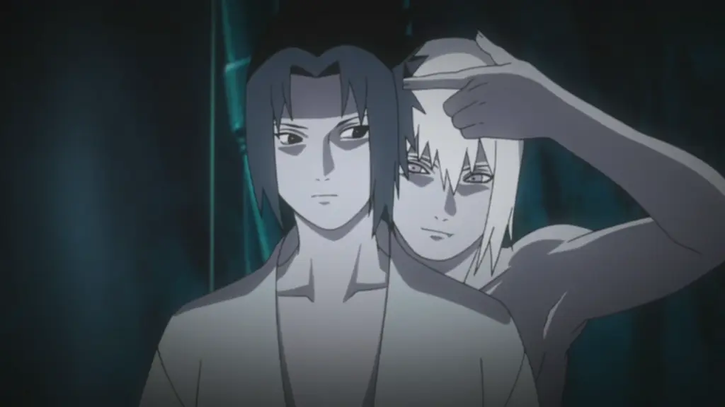 Suigetsu and Sasuke