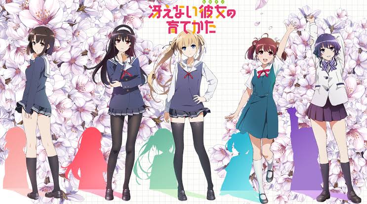 10 Greatest Harem Anime of All Time, Ranked 6 female cast from Saekano How to Raise a Boring Girlfriend