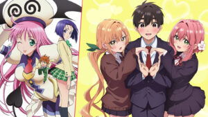10 Greatest Harem Anime of All Time, Ranked